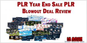 PLR Year End Sale PLR Blowout Deal Review