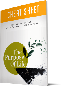 The Purpose Of Life Cheatsheet